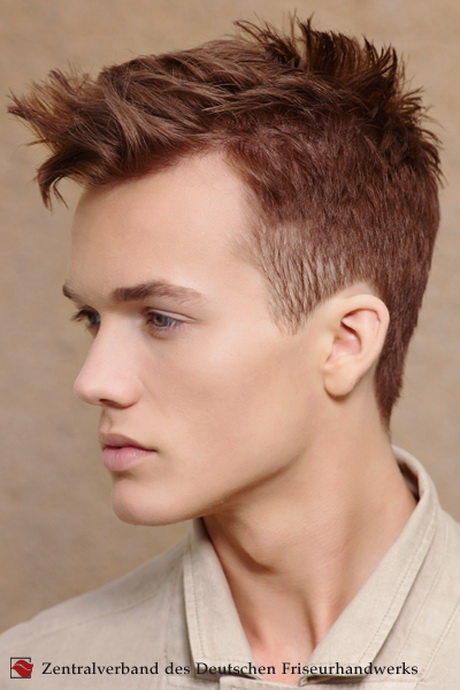 Männerfrisuren 2014