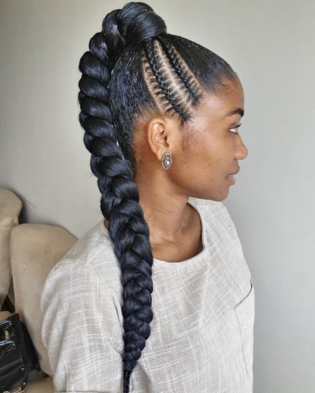 Braids bilder