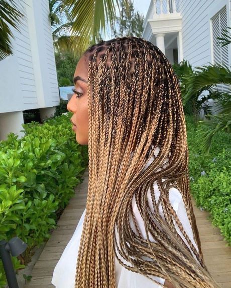 Braids rasta