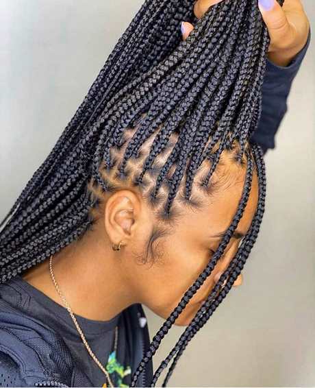 Braids rasta