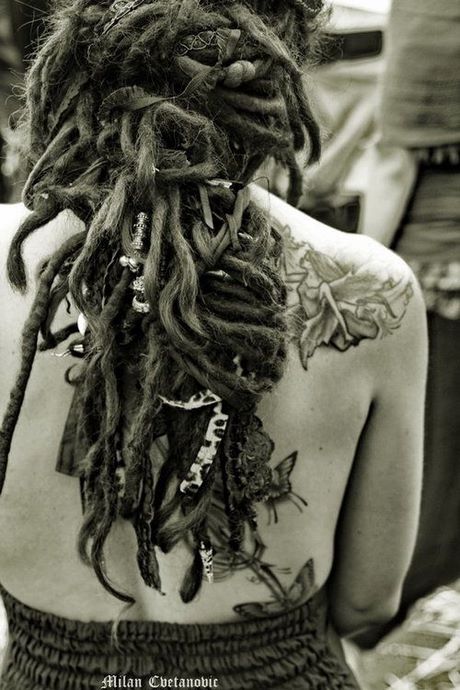 Rasta haare