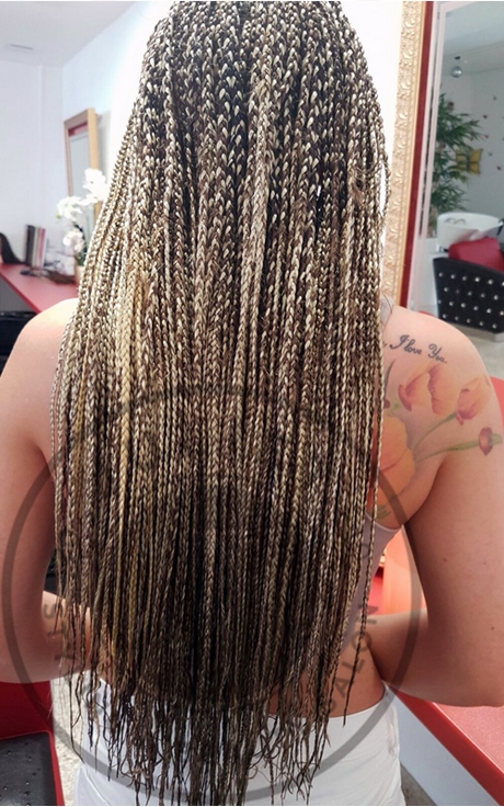 Rastazöpfe braids